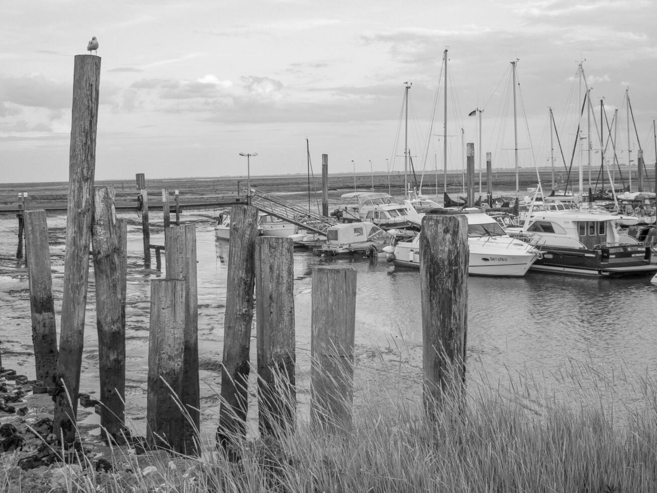 Spiekeroog island in germany photo