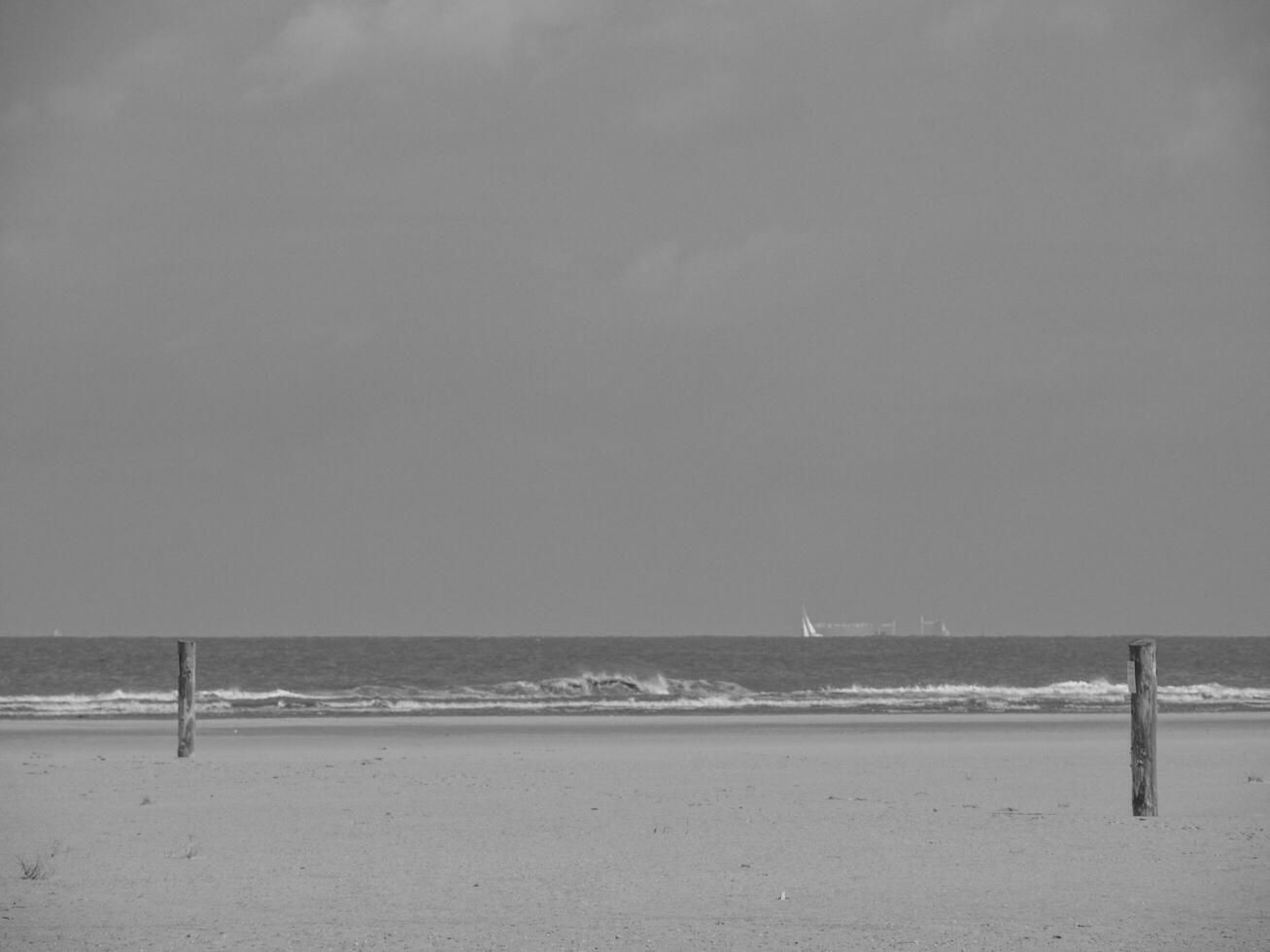 Spiekeroog island in germany photo