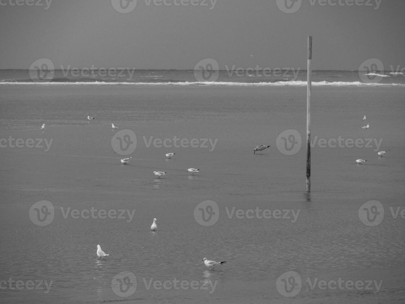 The island of Spiekeroog in the north sea photo