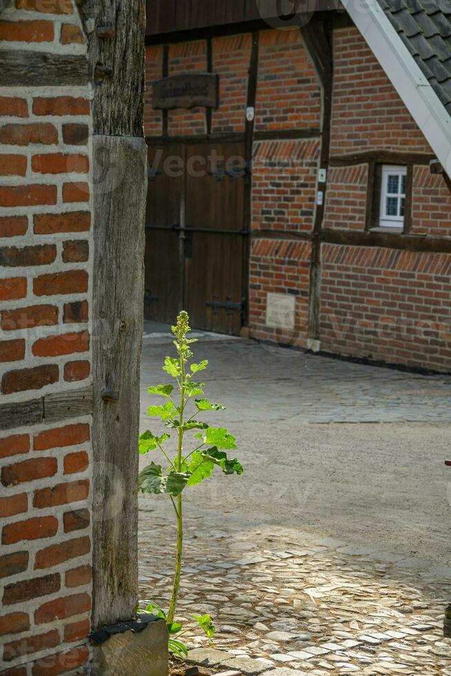 the village of Weseke in germany photo