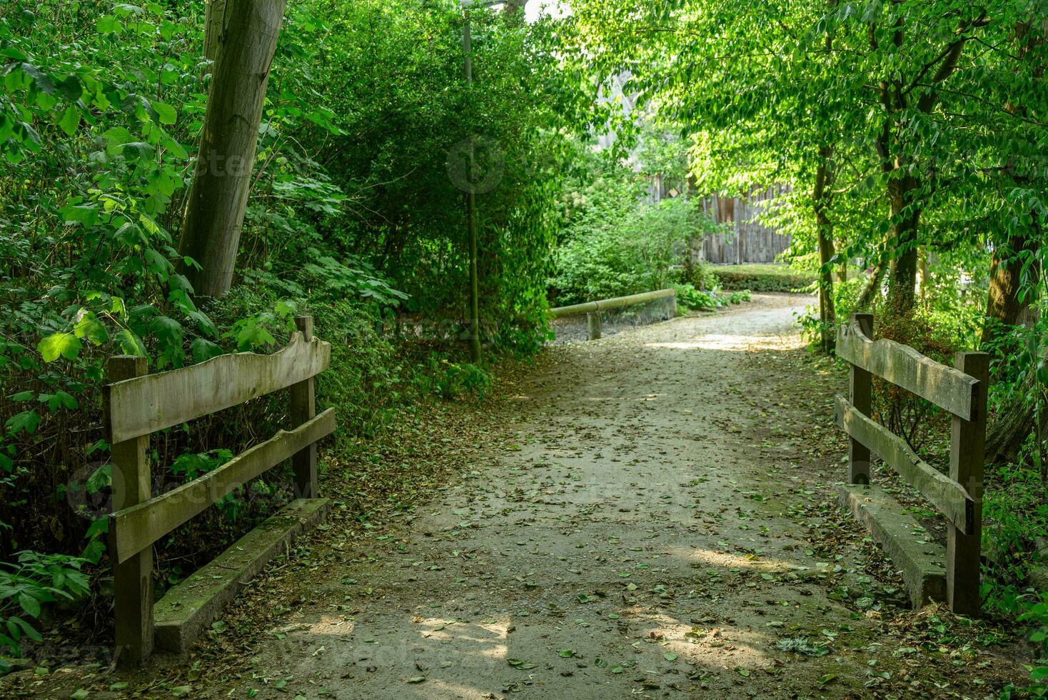 the village of Weseke in Germany photo