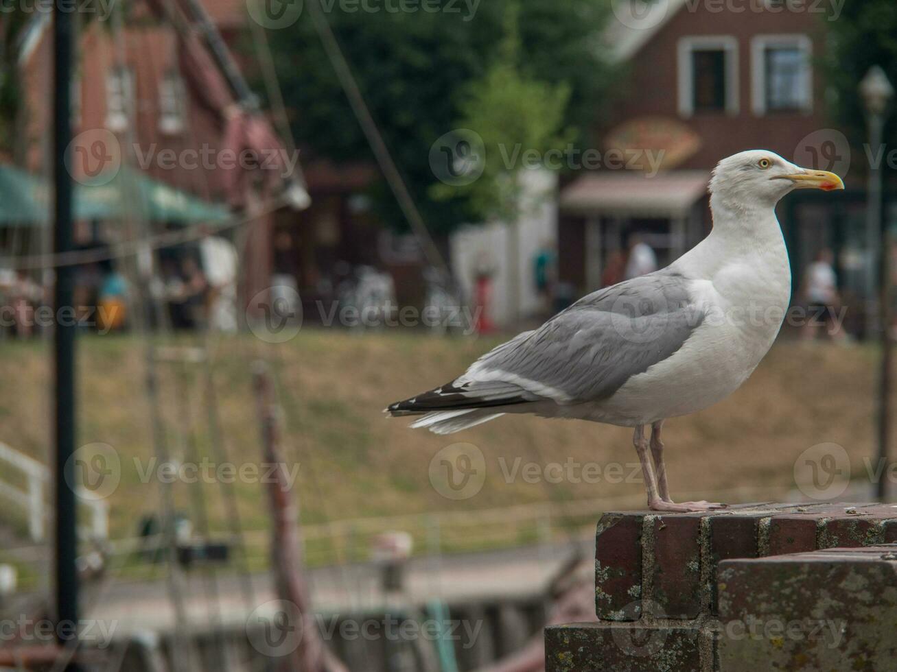 carolinensiel en Alemania foto