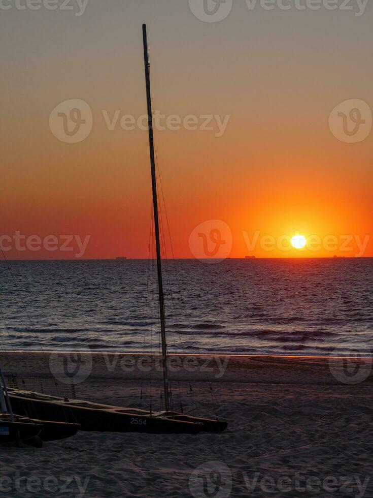 Delaware haan a el norte mar en Bélgica foto