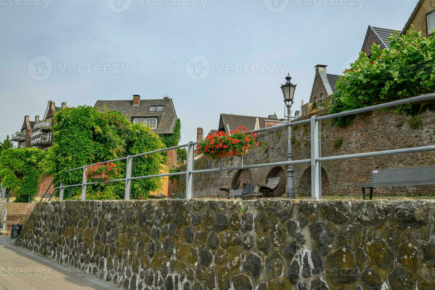 Ress city at the rhine river photo