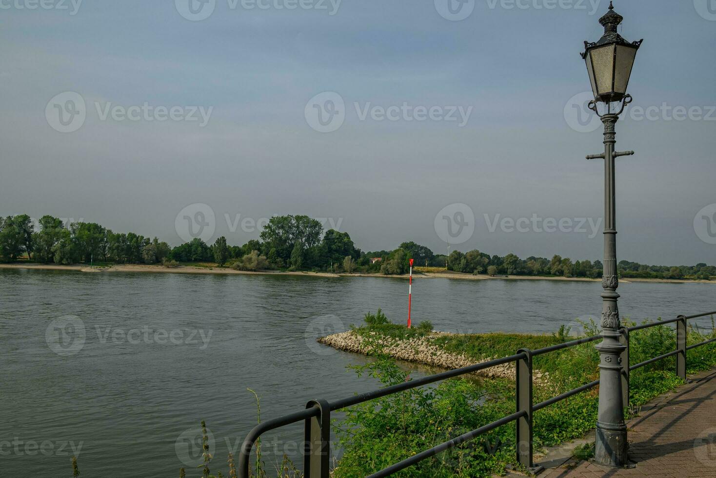 reses ciudad a el rin río foto