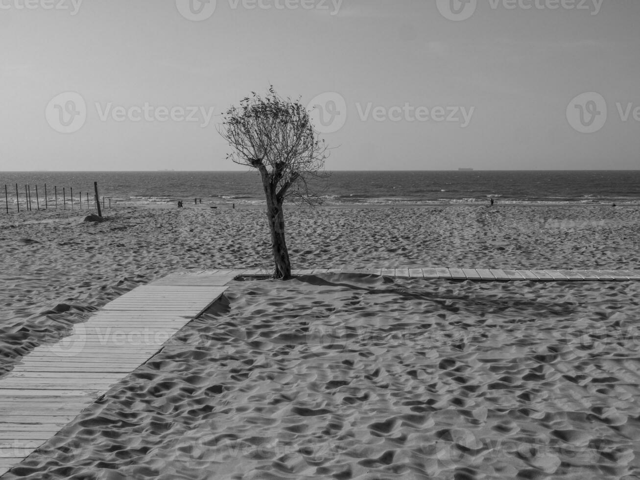 the beach of De Haan in Belgium photo
