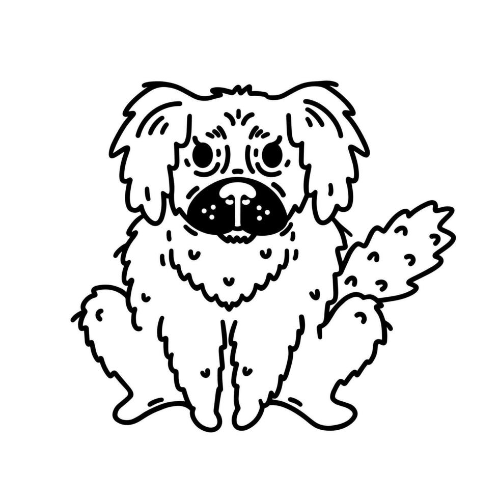 Cute fluffy pekingese vector icon. Longhair Chinese black and white dog smiles and sits. Funny puppy, friendly pet. Nice domestic animal. Simple doodle, sketch. Isolated clipart for poster, print, web