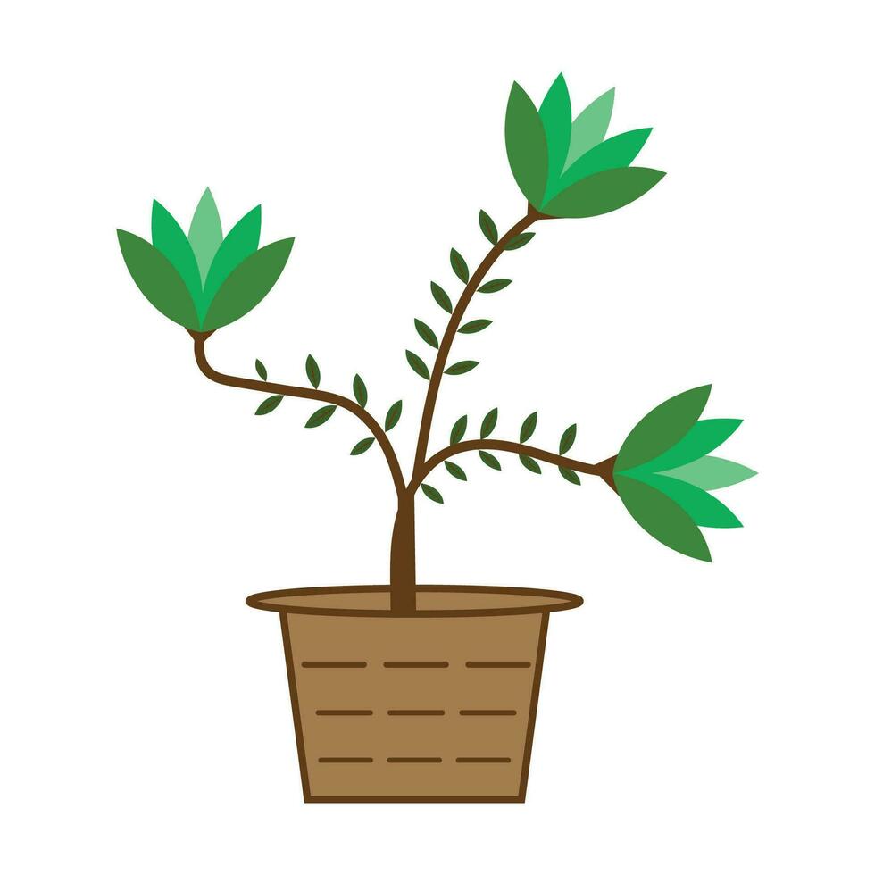 A plant in a pot with a plant in it vector