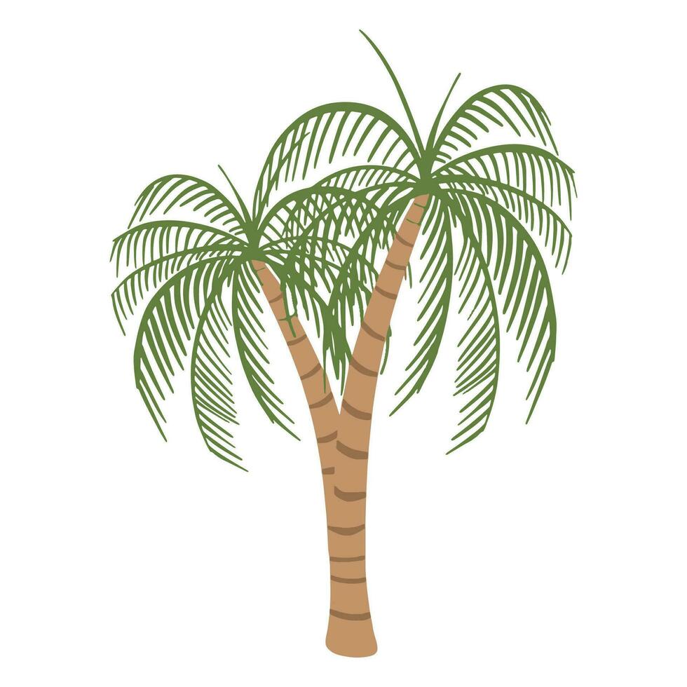 Exotic Palm tree ,good for graphic design resources, prints, posters, children books, and more. vector