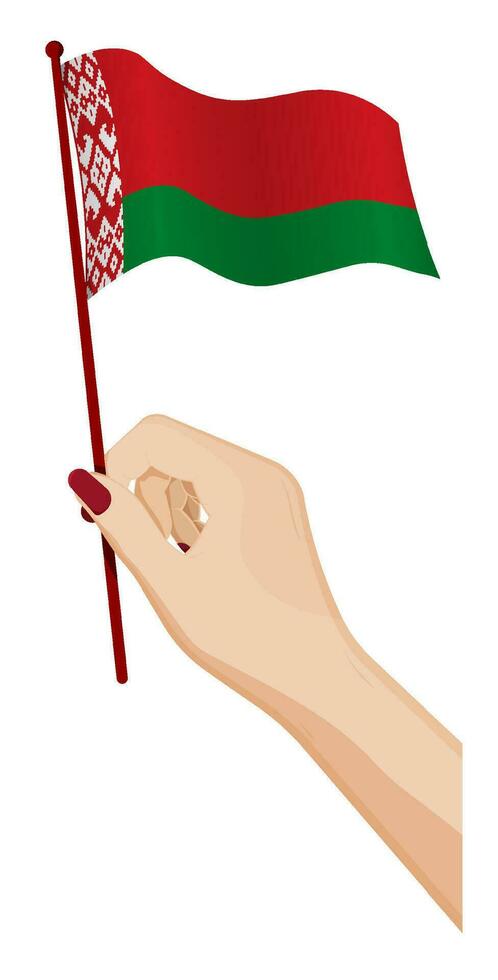 hembra mano suavemente sostiene pequeño bandera de república de bielorrusia fiesta diseño elemento. dibujos animados vector en blanco antecedentes