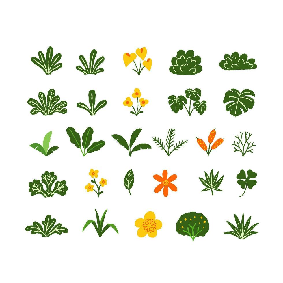 Set of tropical tree paintings, Flowers, leaves, simple and cute design. vector