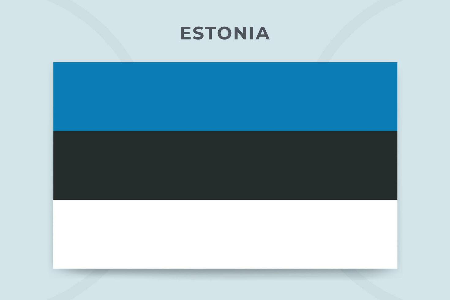 Estonia national flag design template vector