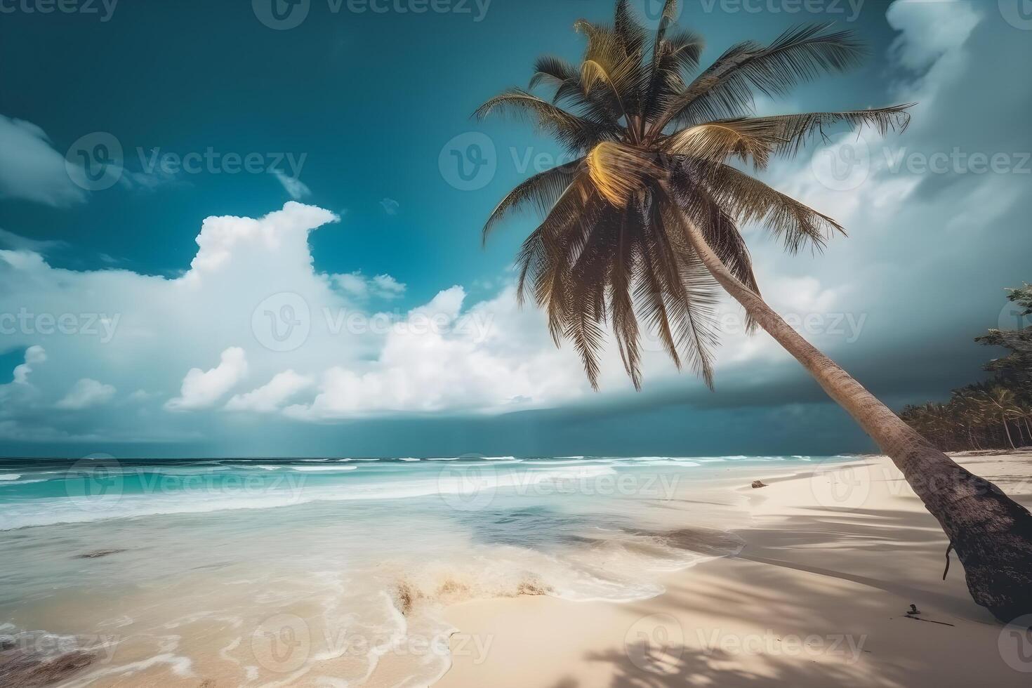 beautiful tropical beach background made with photo