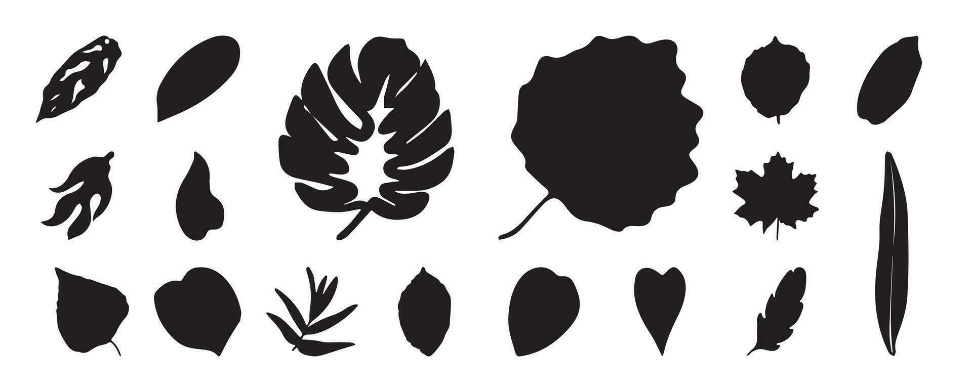 Collection of silhouette leaf elements. Set of tropical plants, leaf branch, palm, monstera leaves, foliage. Hand drawn of botanical vectors for decor, website, graphic, decorative.