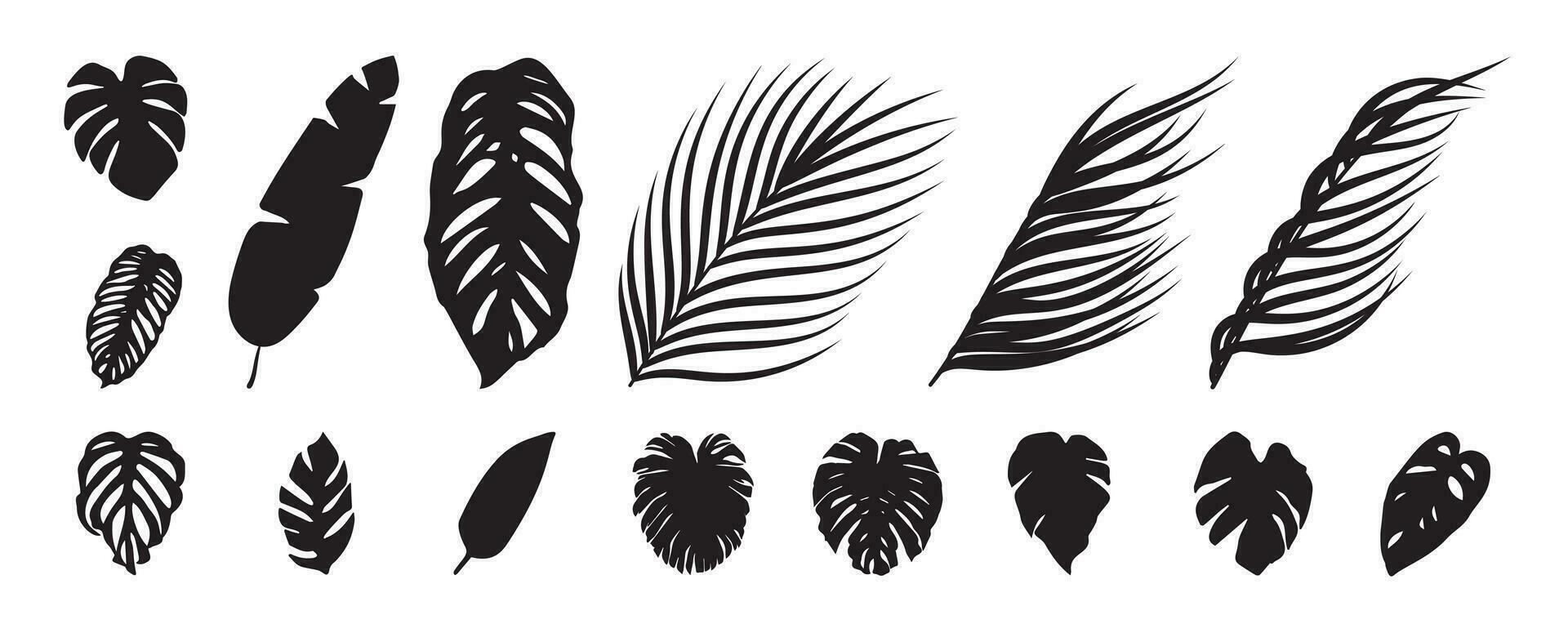 Collection of silhouette leaf elements. Set of tropical plants, leaf branch, palm, monstera leaves, foliage, banana leaf. Hand drawn of botanical vectors for decor, website, graphic, decorative.