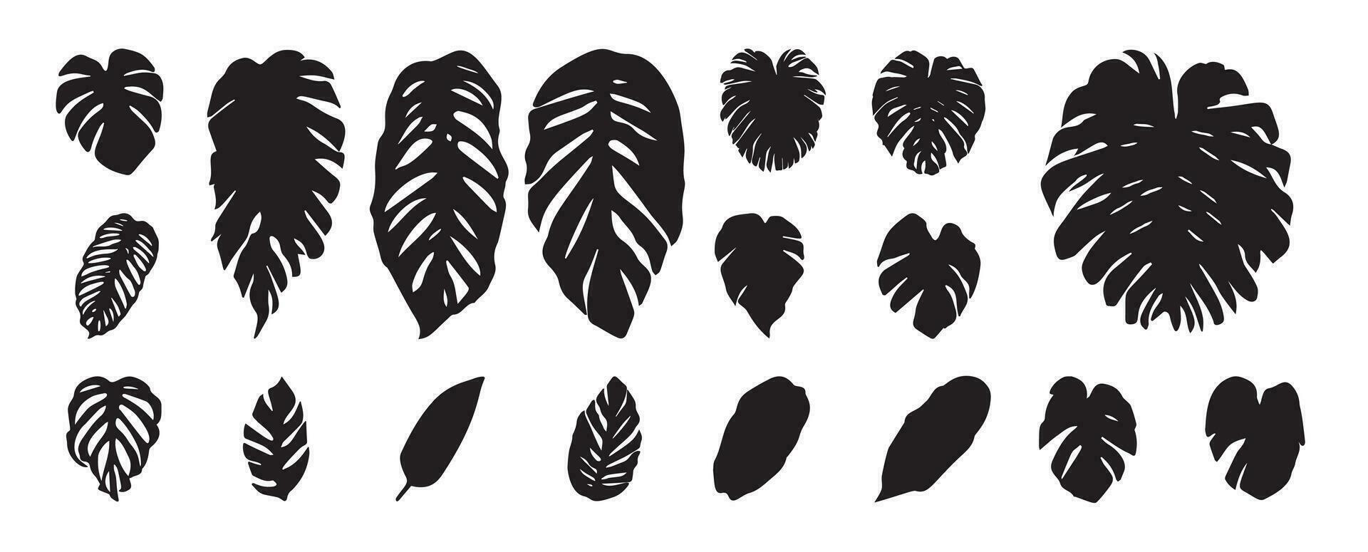 Collection of silhouette leaf elements. Set of tropical plants, leaf branch, palm, monstera leaves, foliage. Hand drawn of botanical vectors for decor, website, graphic, decorative.