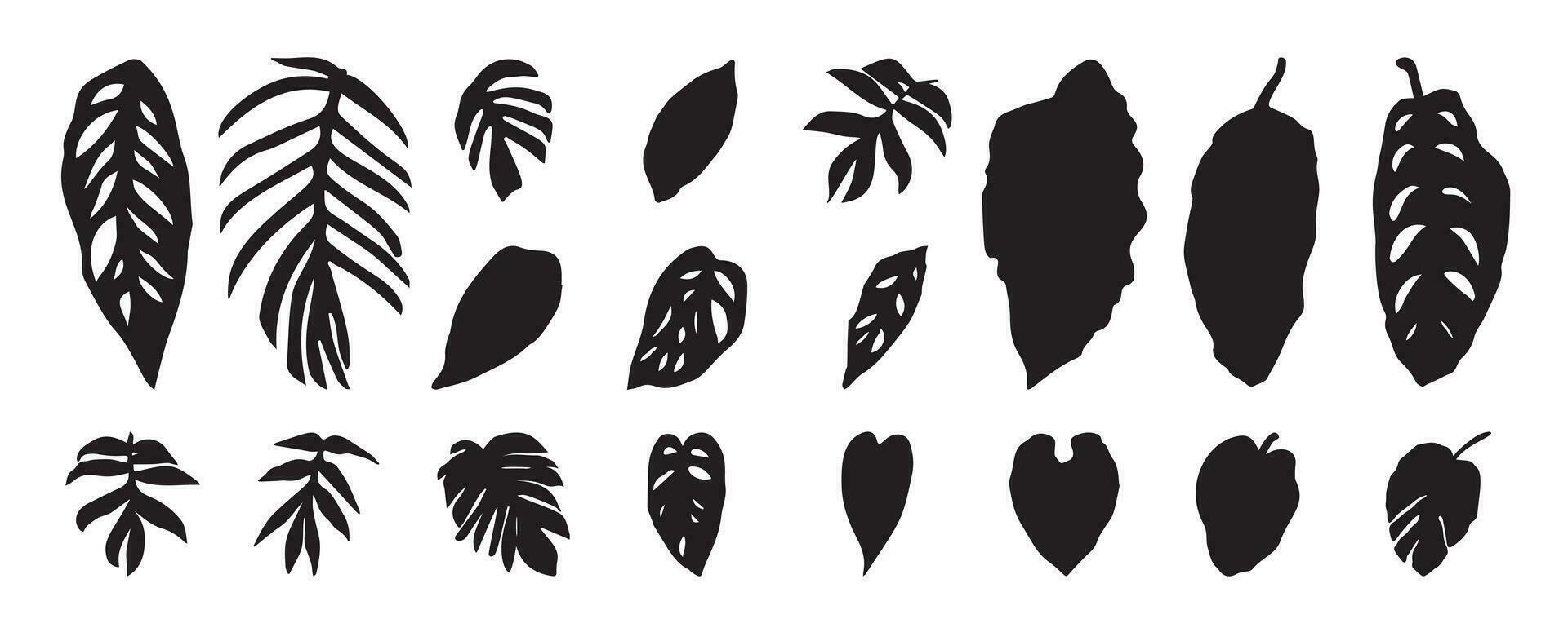 Collection of silhouette leaf elements. Set of tropical plants, leaf branch, palm, monstera leaves, foliage. Hand drawn of botanical vectors for decor, website, graphic, decorative.