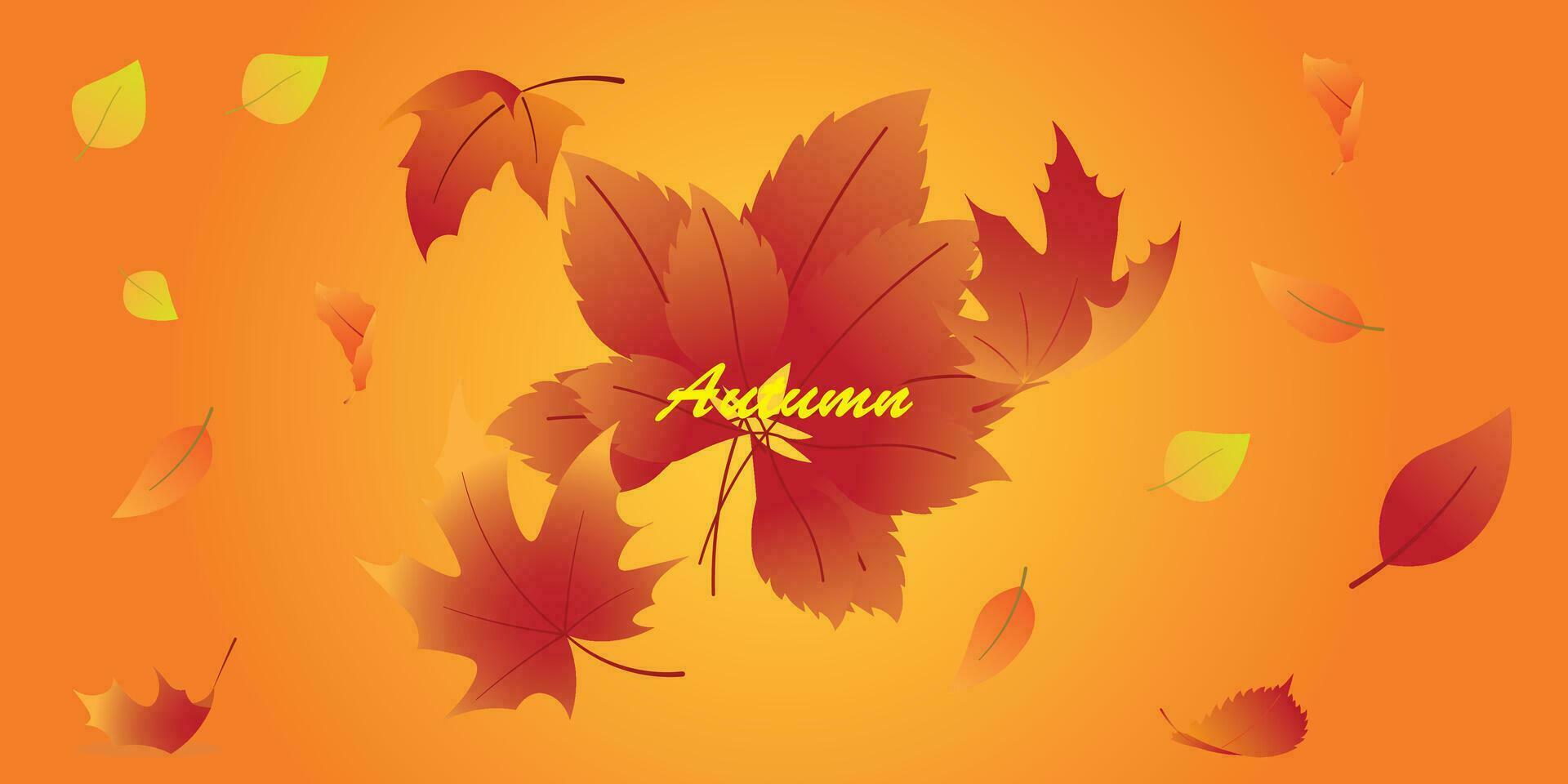 Background design with autumn theme. vector
