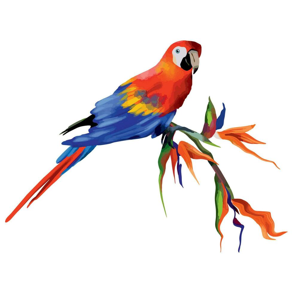 Ara parrot. Tropical bird vector illustration isolated on white background. Design element for summer banners, greeting cards, packages in tropical style.
