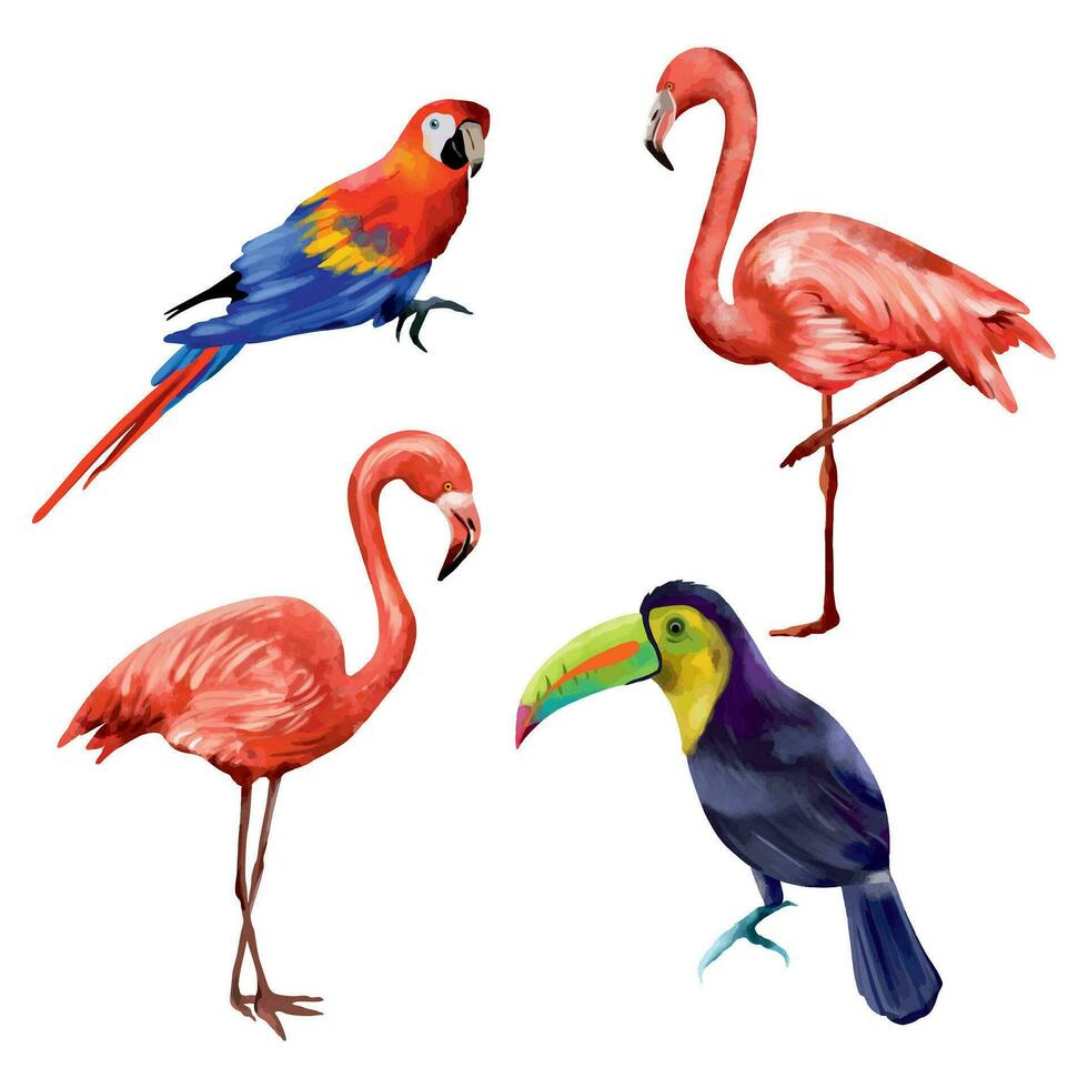 Macaw parrot, pink flamingos, toucan. Vector illustration of exotic birds in a watercolor style on a white background. Design element for wedding invitations, greeting cards, summer banners.