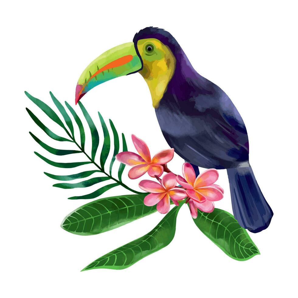Toucan and bouquet of pink plumeria. Tropical bird vector illustration in a watercolor style on a white background. Design element for wedding invitations, greeting cards, summer banners.
