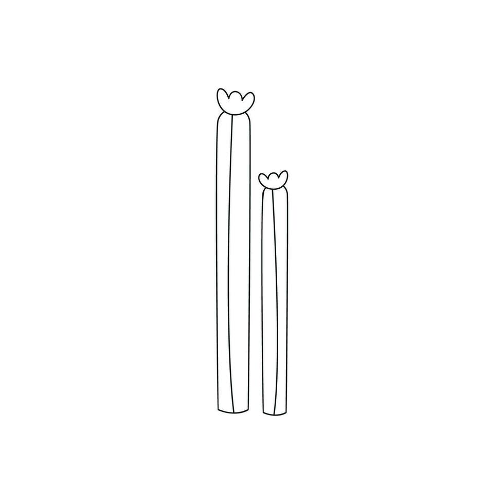 Hand drawn linear vector illustration of a cactus