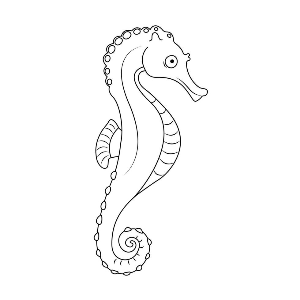 Seahorse outlines on white. Children coloring sea animal. Vector illustration of an isolated hippocampus