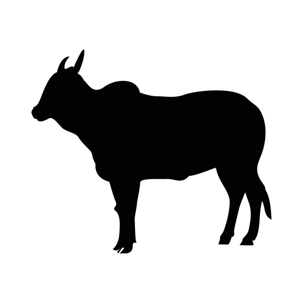 Vector silhouette of bull illustration on a white background.