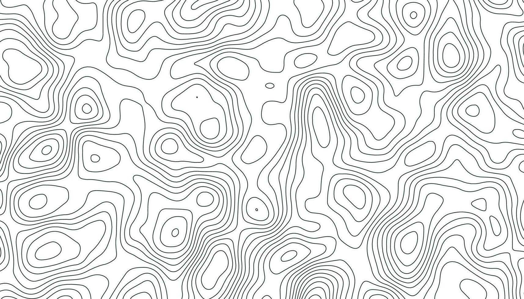 topográfico línea contorno mapa antecedentes. elevación gráfico contorno altura líneas. Clásico al aire libre estilo. negro en blanco contornos vector topografía estilizado altura de el líneas.