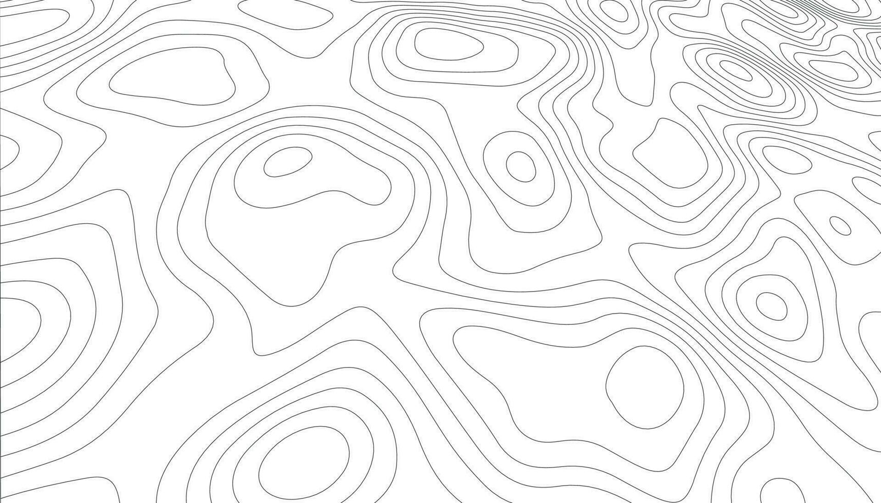 Topographic line contour map background. Elevation graphic contour height lines. Vintage outdoors style. Black on white contours vector topography stylized height of the lines.