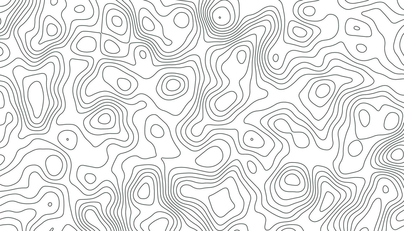 Topographic line contour map background. Elevation graphic contour height lines. Vintage outdoors style. Black on white contours vector topography stylized height of the lines.