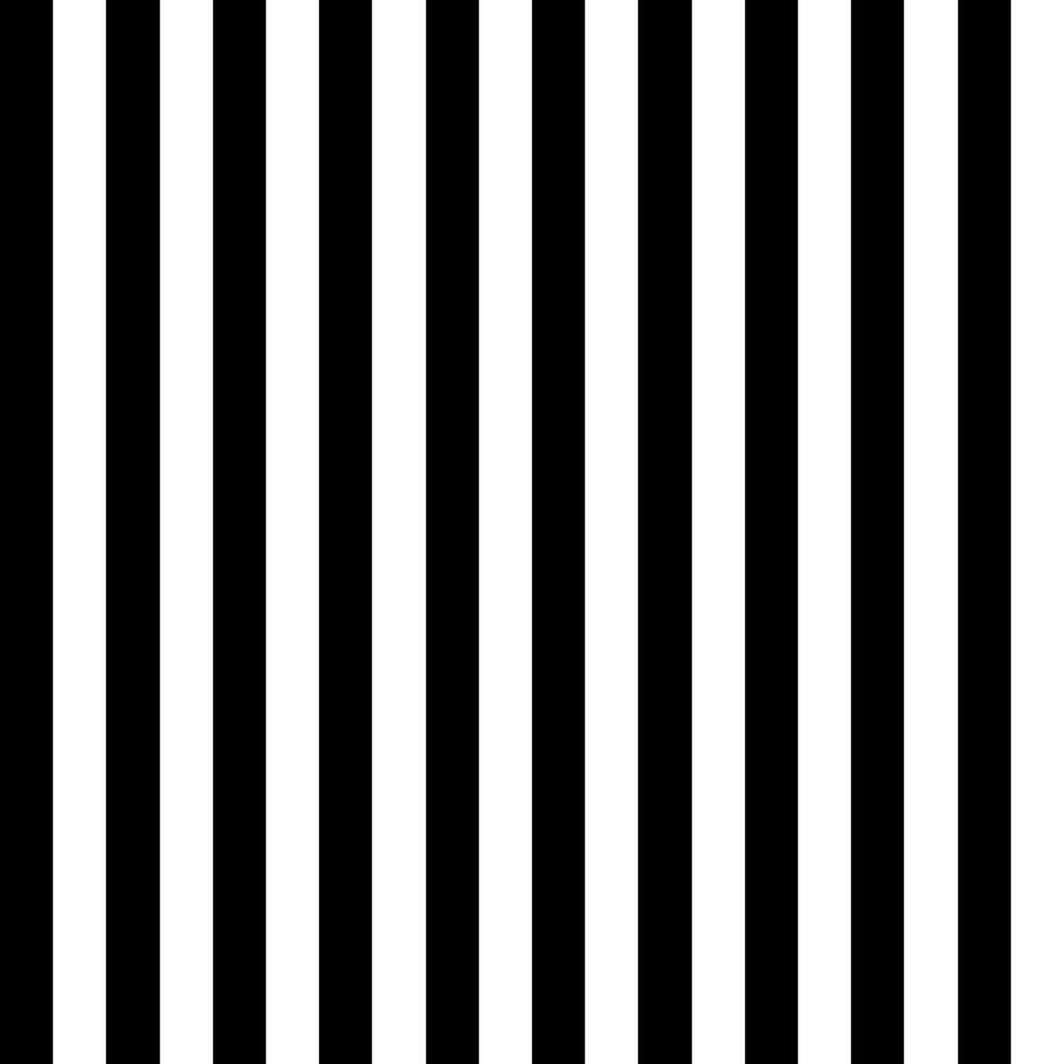 black and white stripes background vector