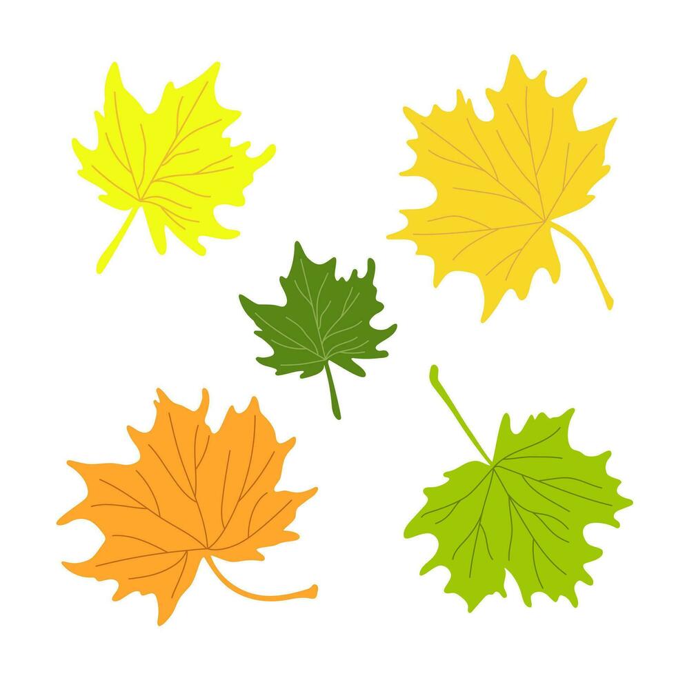 Autumn leaves simple vector minimalist concept flat style illustration, multicolored hand drawn natural floral elements set, element for invitations, greeting cards, booklet, autumn holiday dec