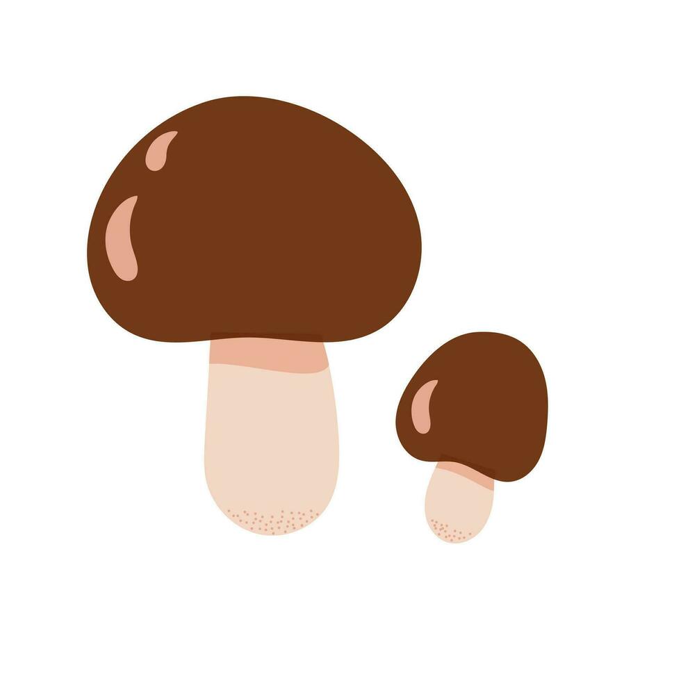 Forest edible yellow boletus mushroom vector illustration, seasonal autumn simple drawing healthy vegetarian diet ingredient for menu design, hand drawn imag