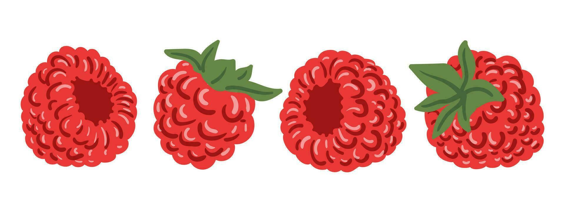 Set of different composition of raspberries. Raspberry isolated on white. Raspberry berry collection flat cartoon illustration vector