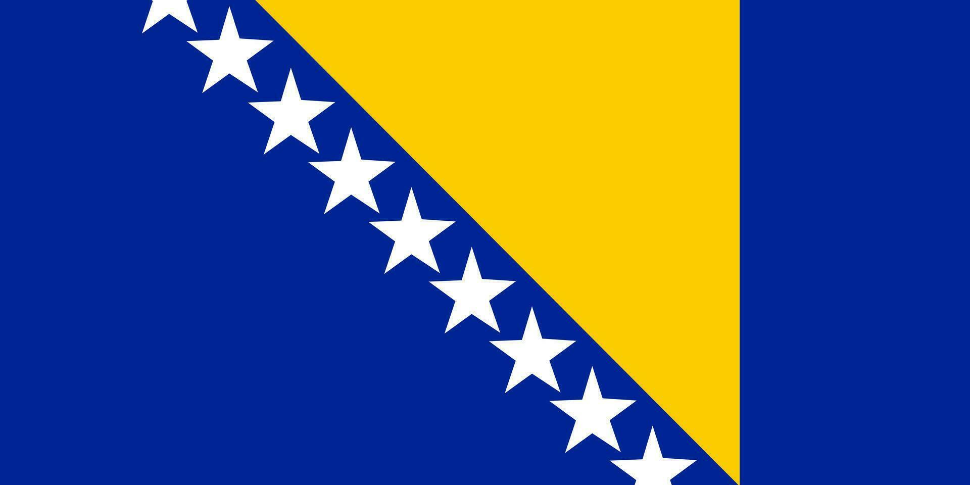 Flag of Bosnia and Herzegovina. vector