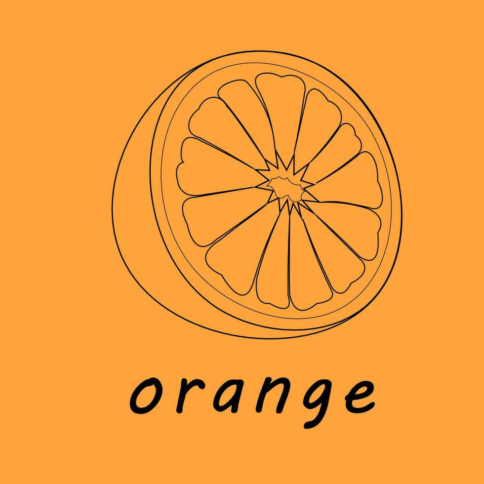 vector illustration of a orange. Lines art tropical fruit, doodle realistic