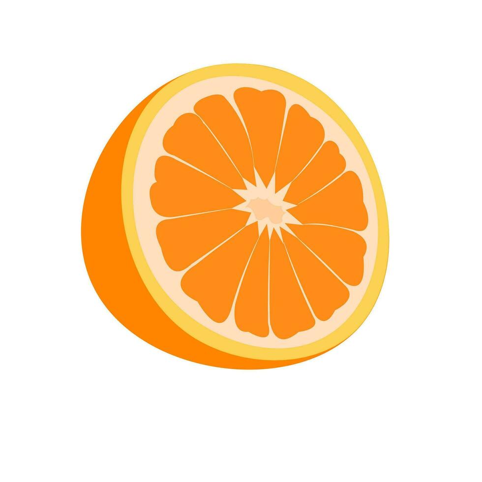 vector illustration of a orange. Lines art tropical fruit, doodle realistic