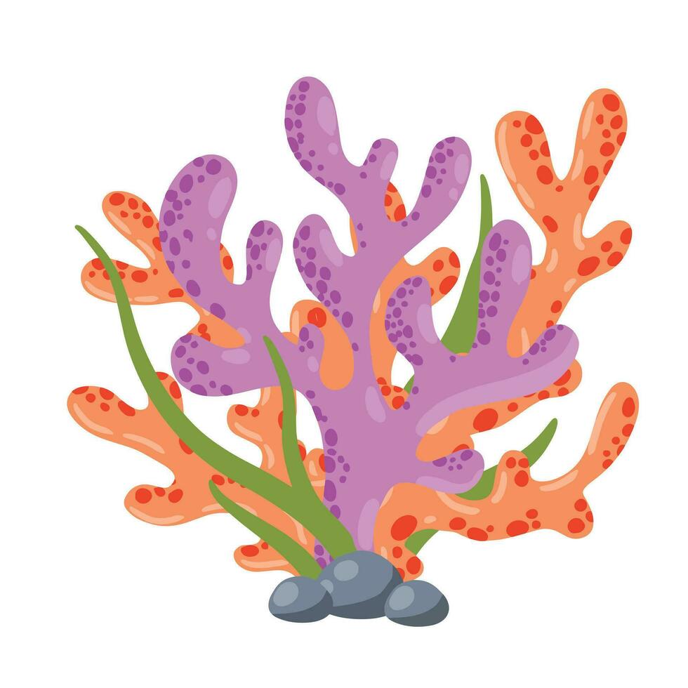 Coral reef and seaweed underwater plant. Aquarium, ocean and undersea decoration isolated on white background. Marine tropical water life. Cartoon vector illustration
