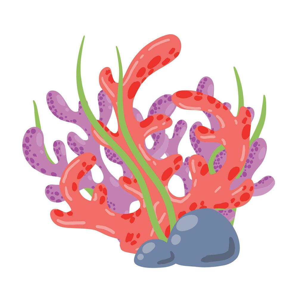 coral arrecife y algas marinas submarino planta. acuario, Oceano y submarino decoración aislado en blanco antecedentes. marina tropical agua vida. dibujos animados vector ilustración
