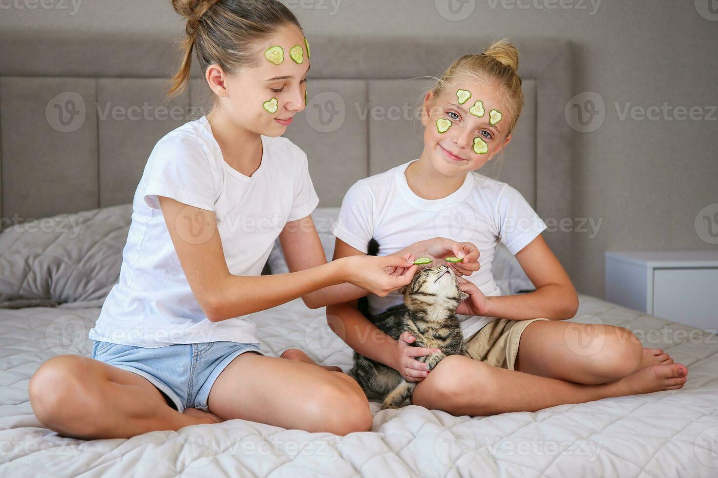 Beautiful girls and a kitten with cucumber face masks. Selective focus on the cat. photo