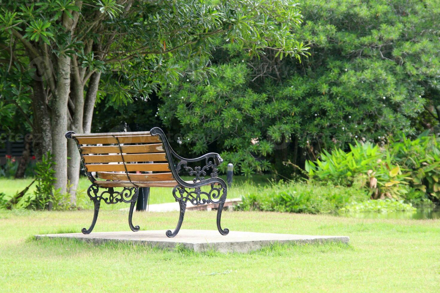 A wood bench on square cement in natural environment. photo