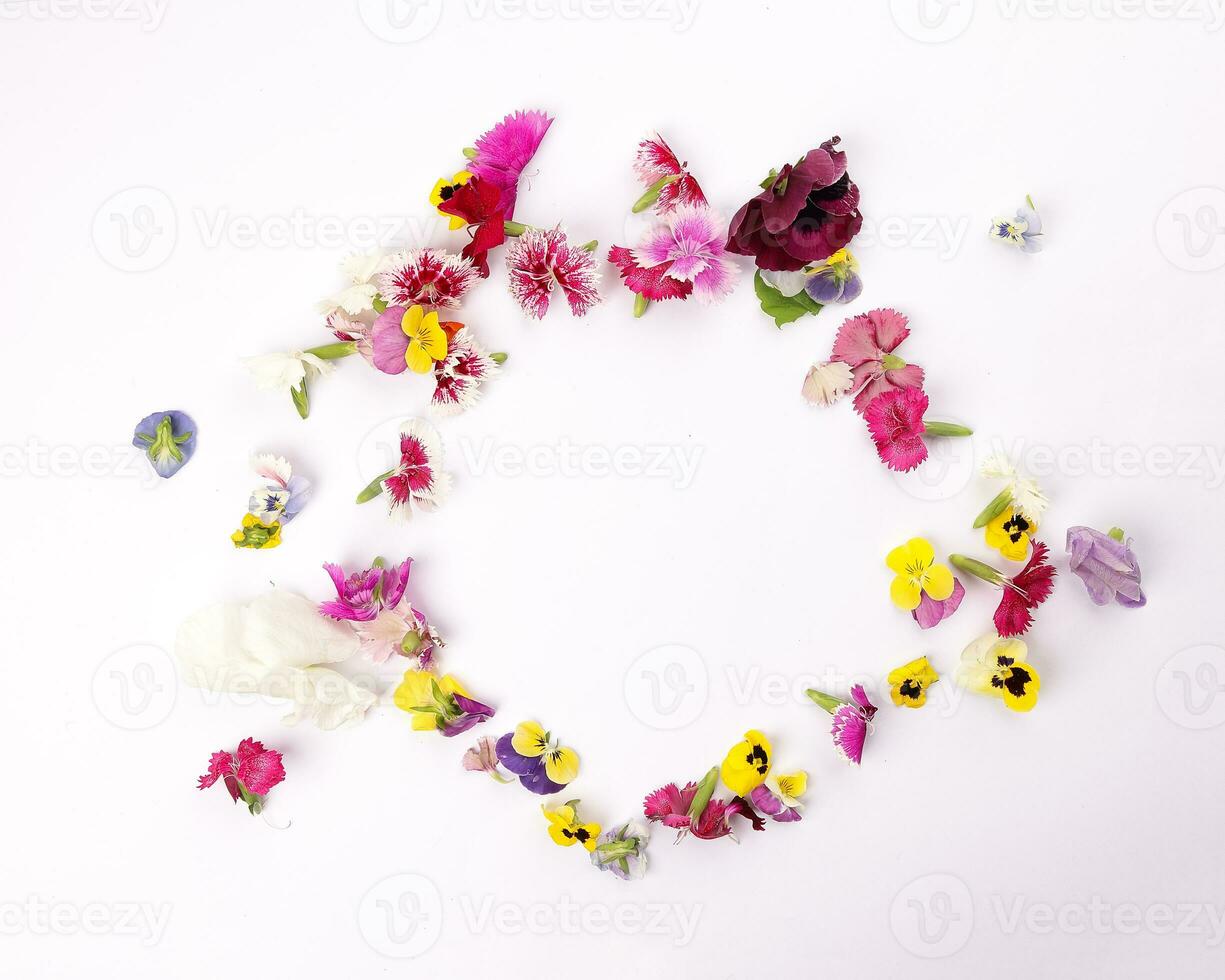 Beautiful colourful yellow violet wite red edible flowers border frame on white background copy text space photo
