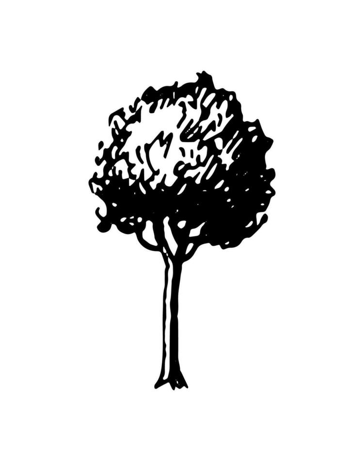 tinta bosquejo de árbol. mano dibujado vector ilustración aislado en blanco antecedentes. retro estilo.