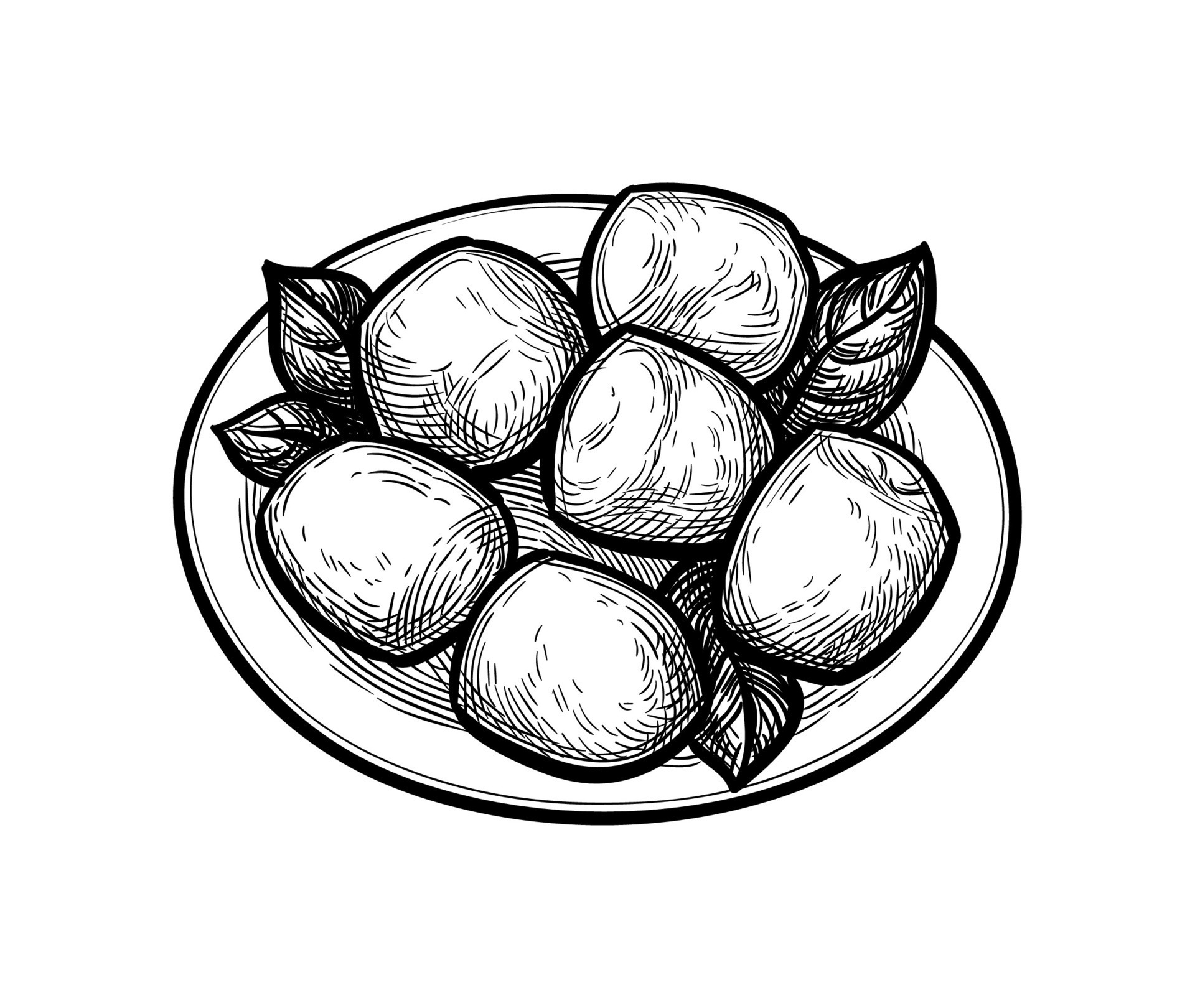 Mozzarella cheese with basil on plate. Ink sketch isolated on white