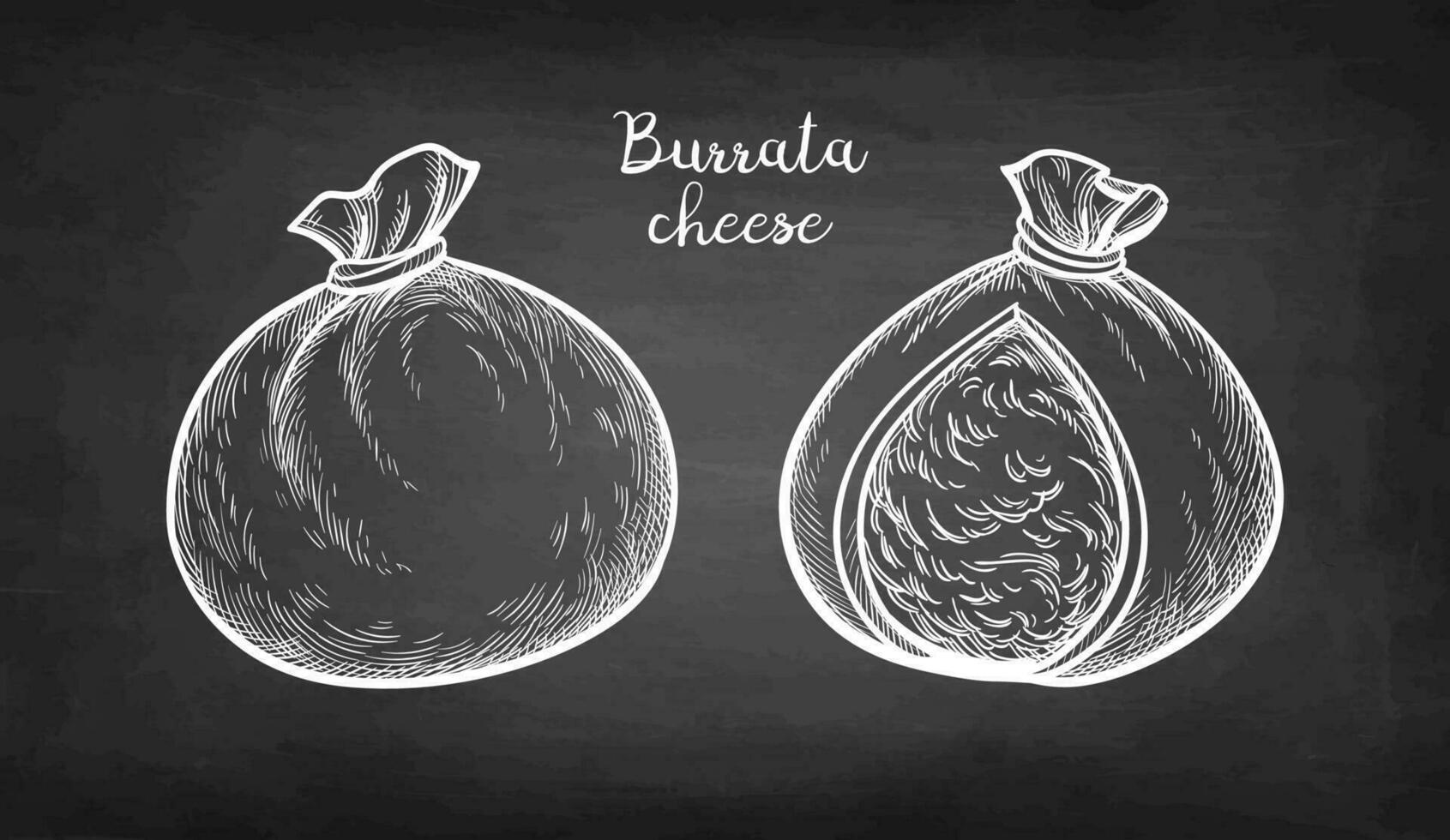 Burrata cheese. Chalk sketch on blackboard background. Hand drawn vector illustration. Retro style.