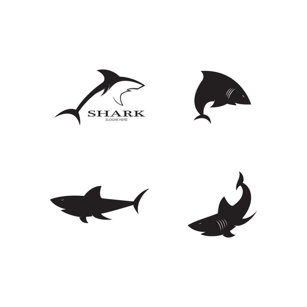 Shark Logo vector Template