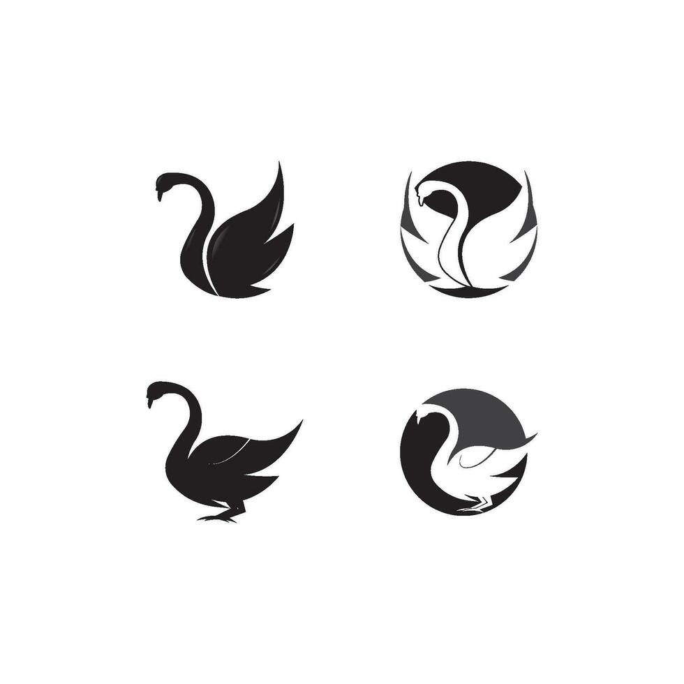 Swan logo Template vector