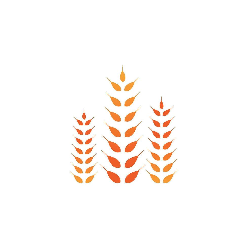wheat Logo Template vector