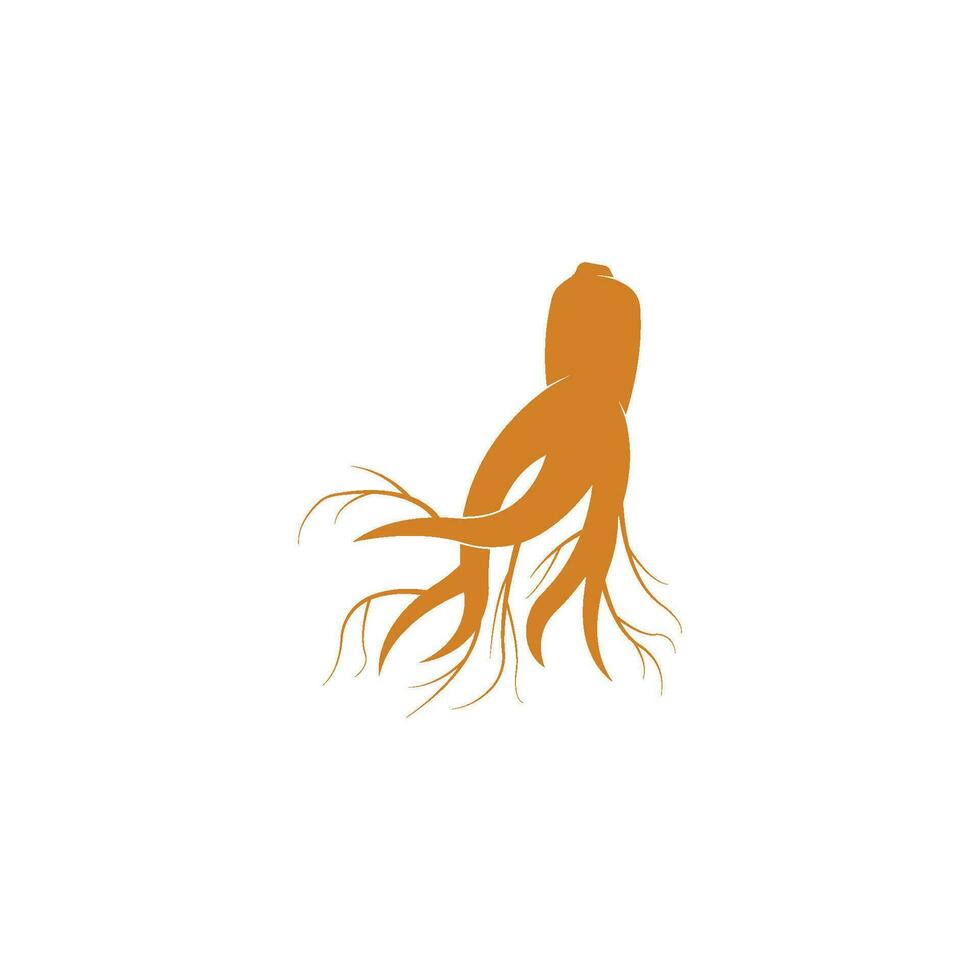 ilustración de icono de vector de ginseng